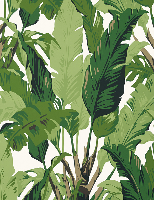 Обои Thibaut Tropics T10127