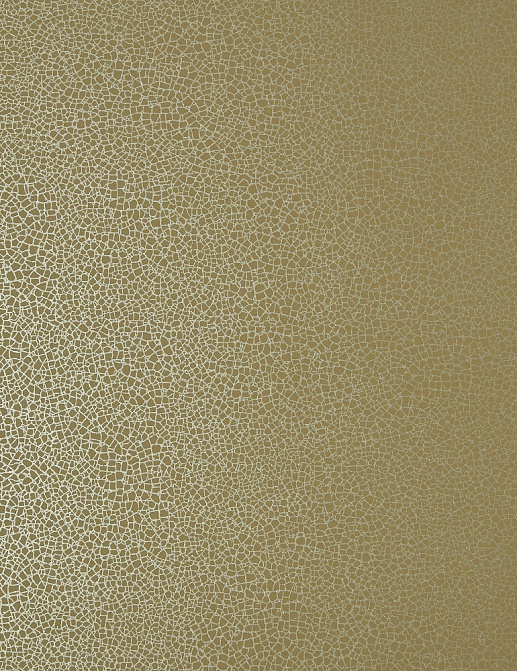 Обои 1838 Wallcoverings Elodie 1907-141-07