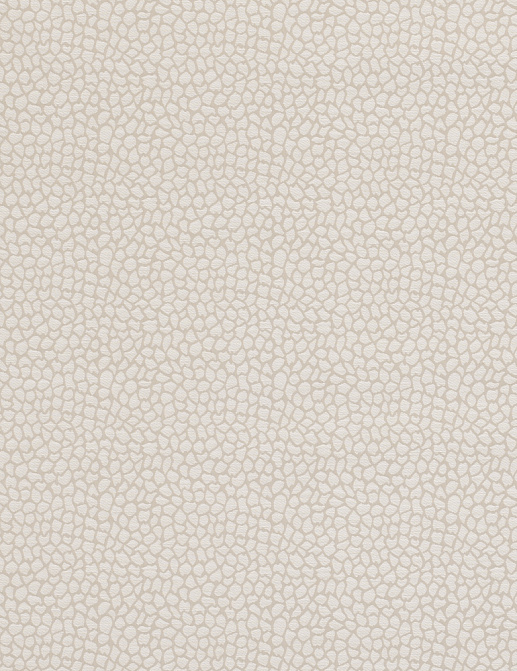 Ткань Clarke & Clarke Salon F0676/02