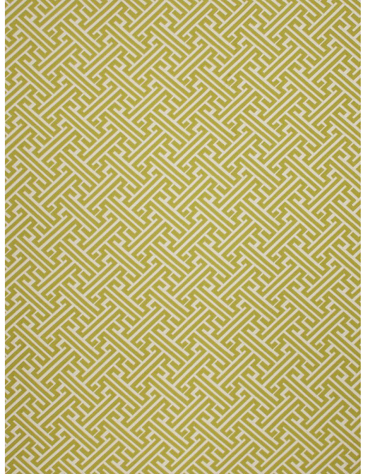 Ткань Fabricut Modern Nuances Citron Green Rebellions/Sprout