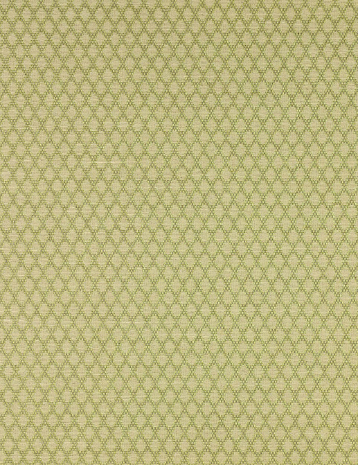Ткань Colefax and Fowler Alberry F3921/03