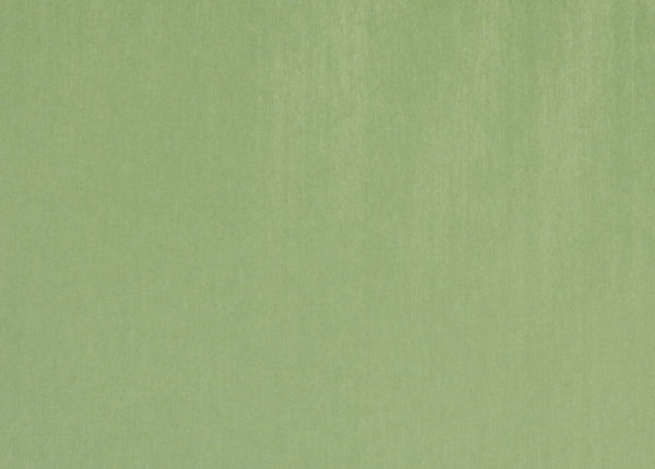 Ткань Designers Guild Brenan F1632/20