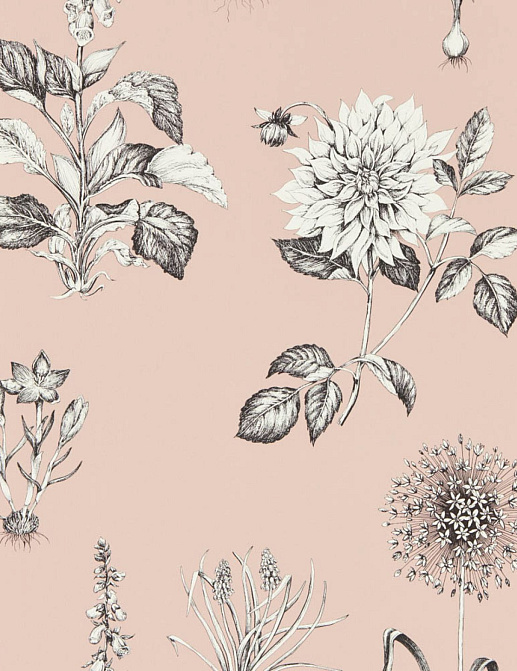 Обои Clarke & Clarke Secret Garden W0197/01