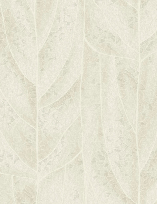 Обои York Natural Discovery (Candice Olson) NT6143