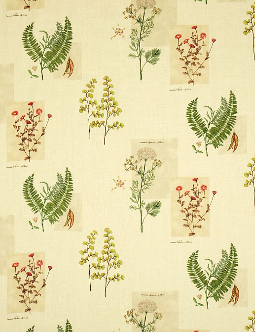 Ткань Sanderson Parchment Flowers DPFPPF202