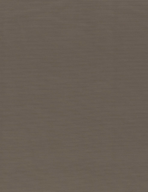 Ткань Chivasso Carlucci di Chivasso Jet CA1603/021