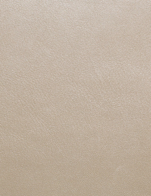 Ткань Holly Hunt Holly Hunt Leather 9251/02