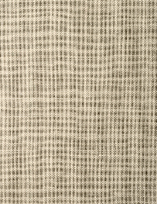Обои Vescom Textile Wallcoverng 09 2620.88