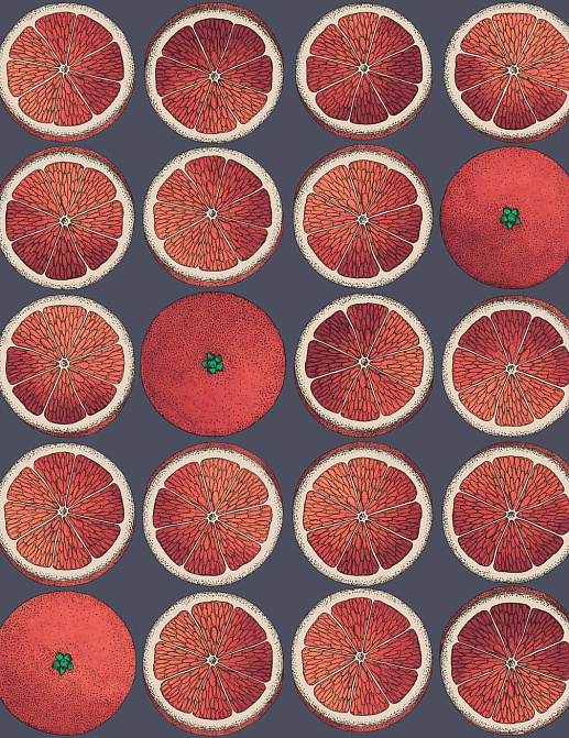Обои Cole & Son Fornasetti Senza Tempo 114/24046