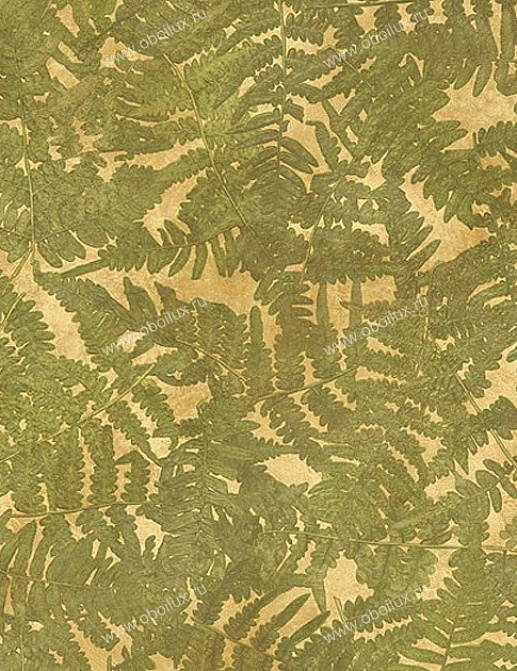 Обои Chesapeake Natural Living NL58206