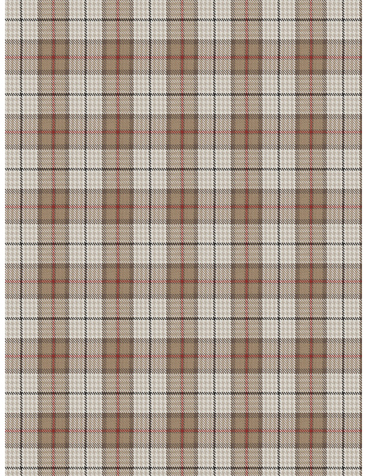 Ткань Fabricut Chromatics Vol.XXIII Sedona Puran plaid/Brick