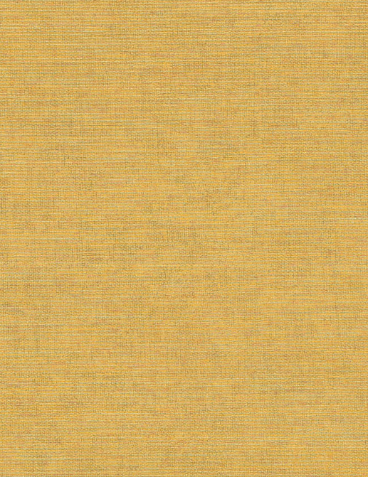 Обои Jannelli & Volpi 171 Ikat 6416