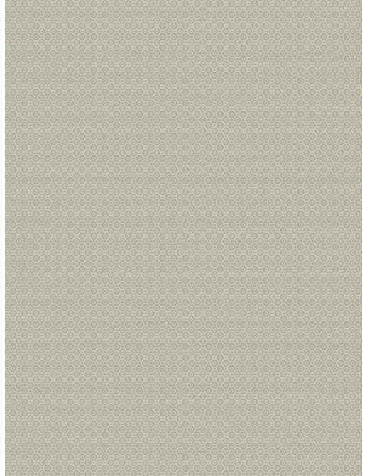 Ткань Fabricut Chromatics Vol.XXVI Ecru Tulcea/Ecru