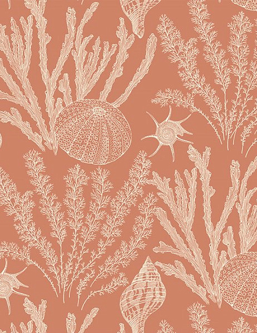 Обои Paper & Ink Coastal Chic CO11801