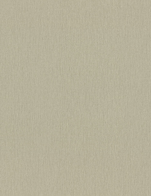 Обои Rasch Wall Textures XL Vol3 979381