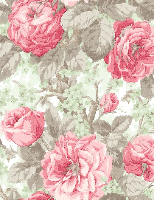 Обои Wallquest English Rose EN10108
