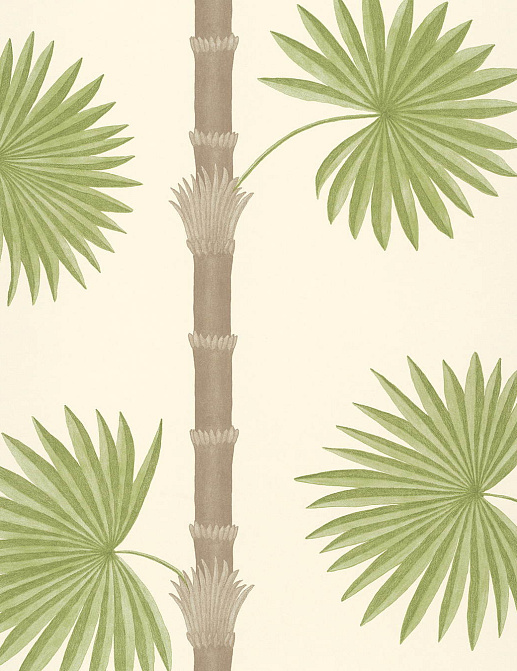 Обои Paint & Paper Library Botany 0360HASANDZ