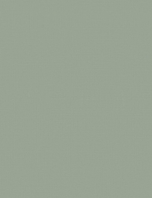 Обои Brewster New Creator 3 BCR1803020