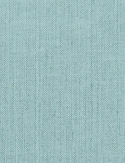 Ткань Designers Guild Tsuga F1506/02