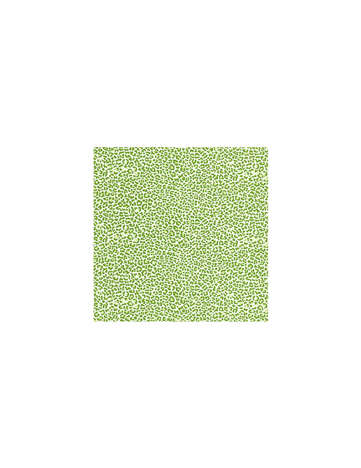 Ткань Thibaut Small Print Resource II F95108