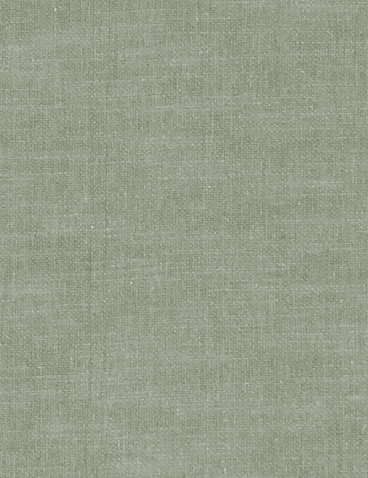 Ткань Clarke & Clarke Amalfi F1239/17
