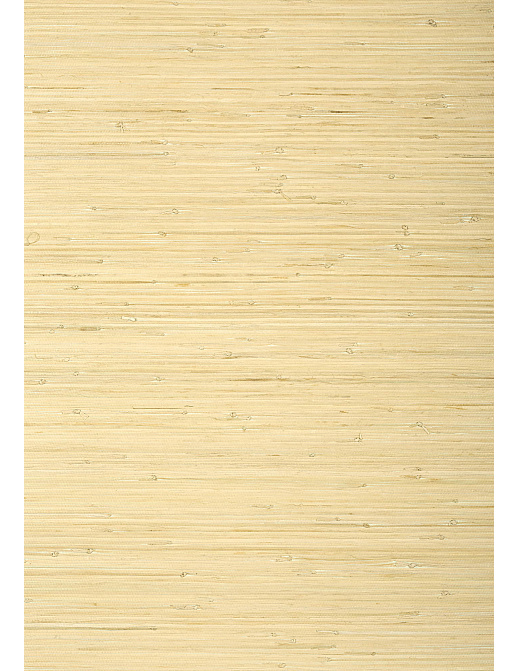 Обои Thibaut Grasscloth Resource V T24065