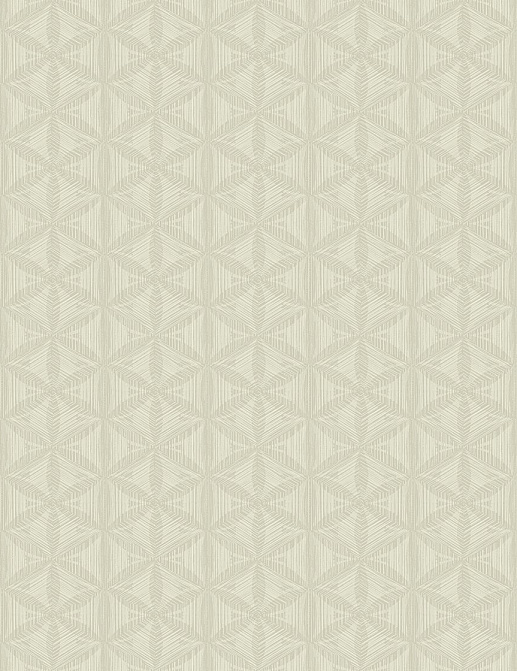 Обои Wallquest Opulent ON40804