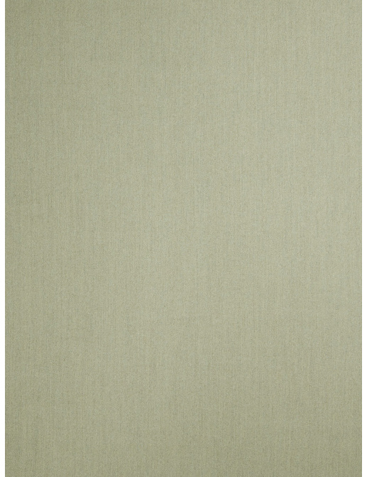 Ткань Stroheim Color Gallery Spearmint Somerlyn twill/Spearmint