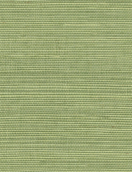 Обои Elitis Tribus RM106963