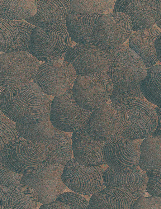 Панно и фотообои Italreflexes Macro Shell-002/Copper