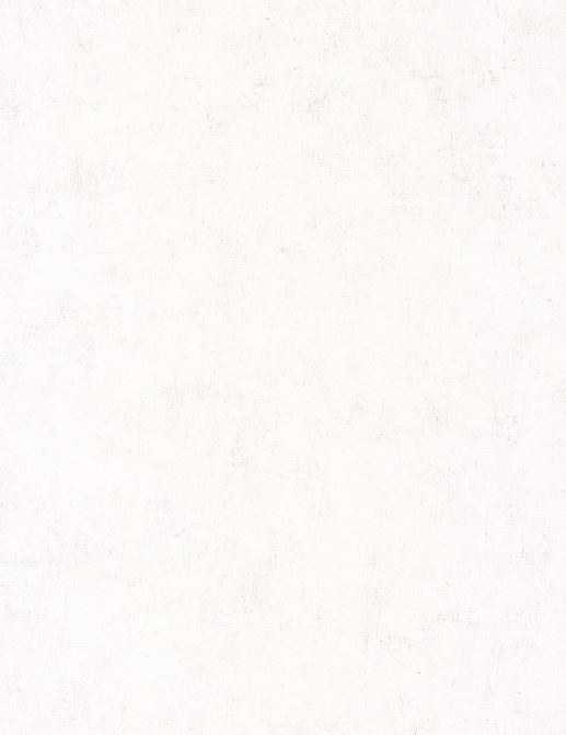 Обои Caselio Beton 101480000