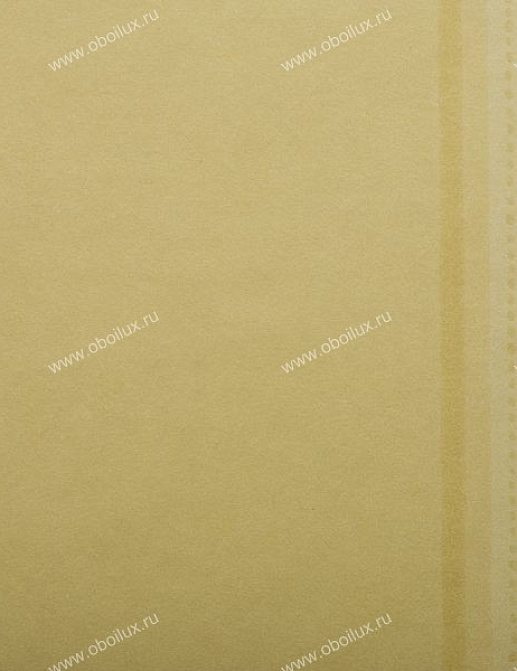 Обои Zoffany Plain & Stripes 36GP06