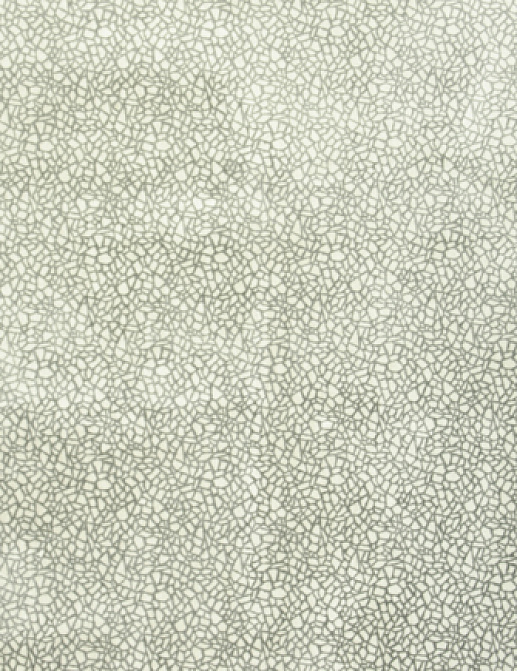 Ткань Designers Guild Culswick F1847/01