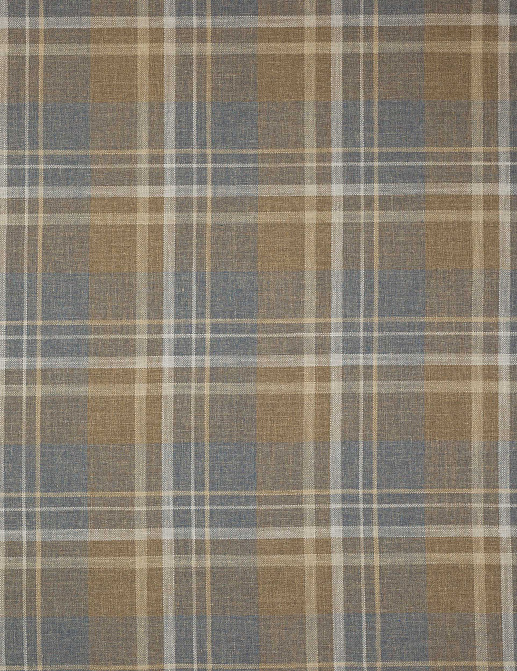 Ткань Colefax and Fowler Magnus Checks F4722/05