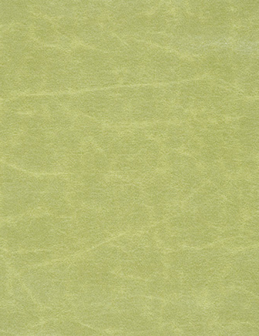 Ткань Designers Guild Arizona F1935/23