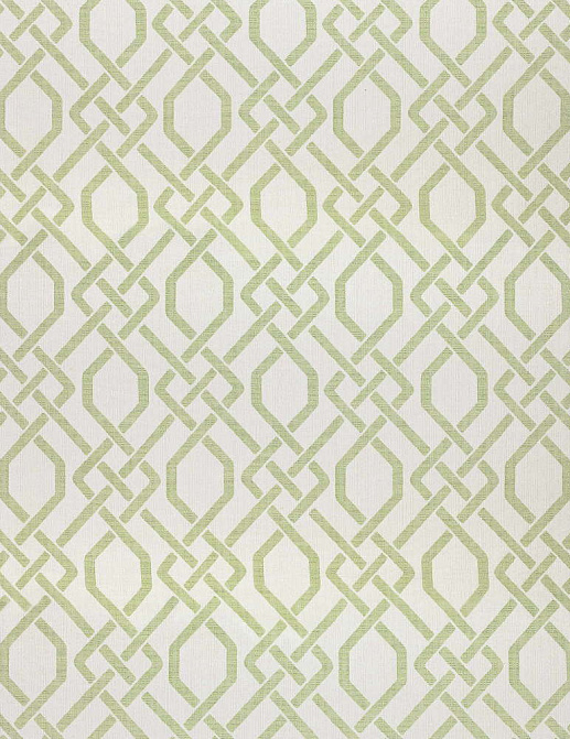 Ткань Thibaut Indoor Outdoor Portico W80021