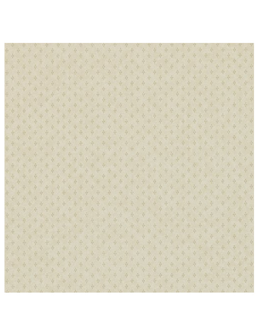 Обои Zoffany Classic Background 311160
