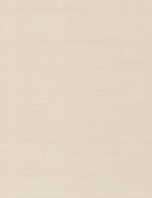 Обои York Ronald Redding Grasscloth & Natural Resource GV0282