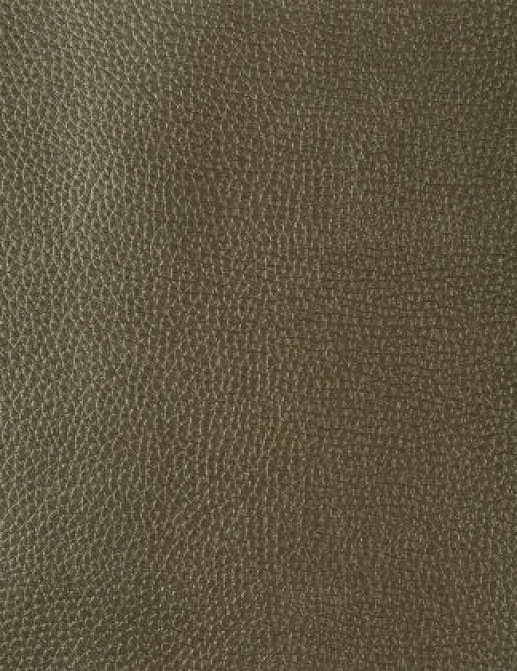 Ткань Designers Guild Santiago F1676/08