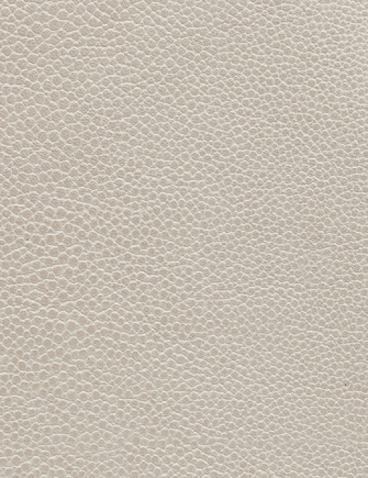 Ткань Holly Hunt Holly Hunt Leather 6000/40
