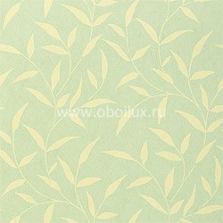 Обои Thibaut Filigree T2068