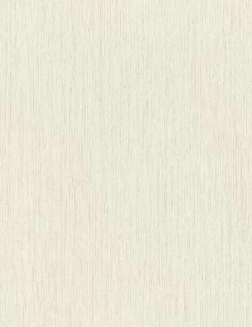 Обои Rasch Настенные структуры. Том 4 / Wall Textures XL Vol. 4 941708