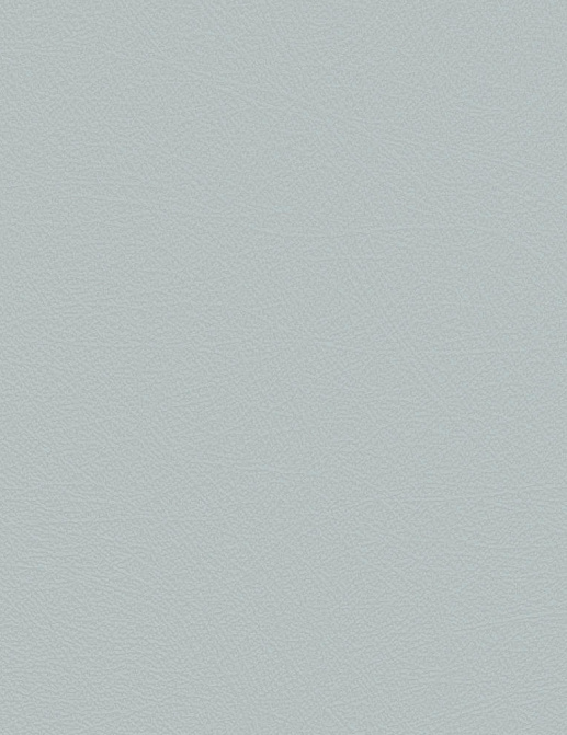 Обои Grandeco New Aurora NA1106