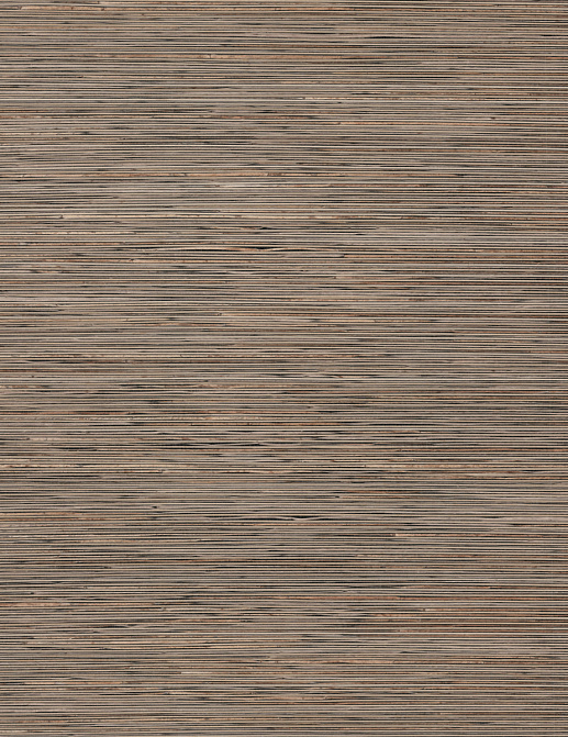 Обои York Natural Discovery (Candice Olson) NT6101