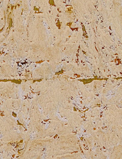 Обои Innovations Collection Marbled Cork MCO-04 GIALLO