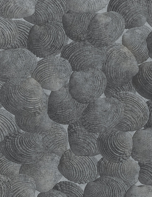 Панно и фотообои Italreflexes Macro Shell-002/Silver