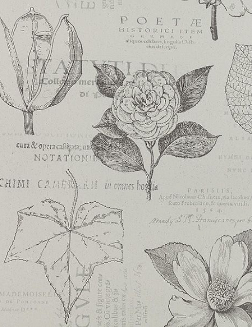 Обои Collection For Walls Classic I 200602