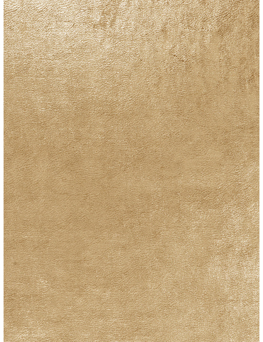 Ткань Fabricut Vignettes Vol.XIV Birch Polish velvet/Spun gold