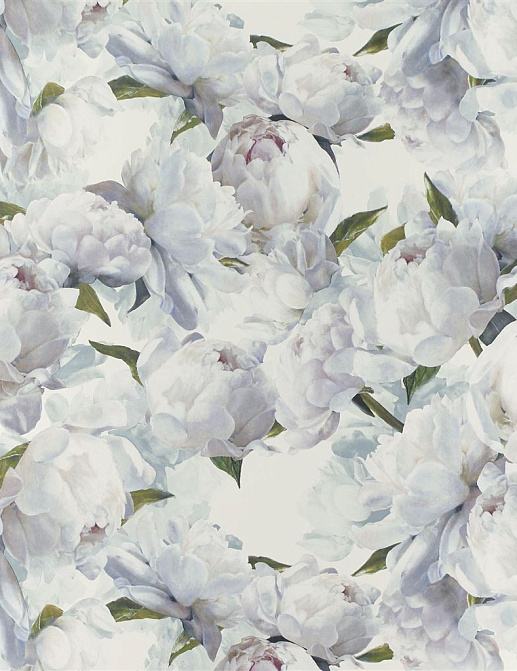 Обои Designers Guild Foscari Fresco with paint Litho PDG1094-02