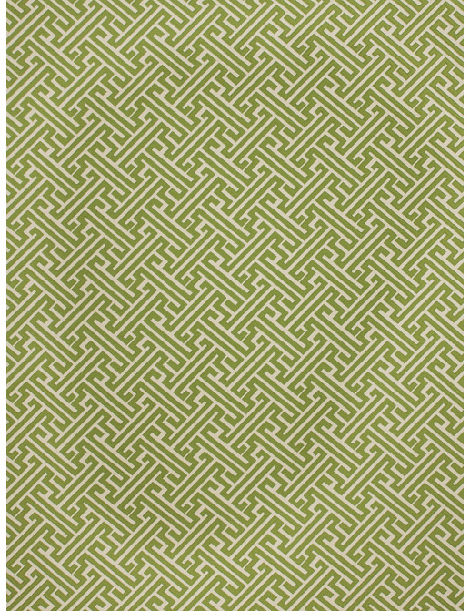 Ткань Fabricut Modern Nuances Citron Green Rebellions/Kelly green
